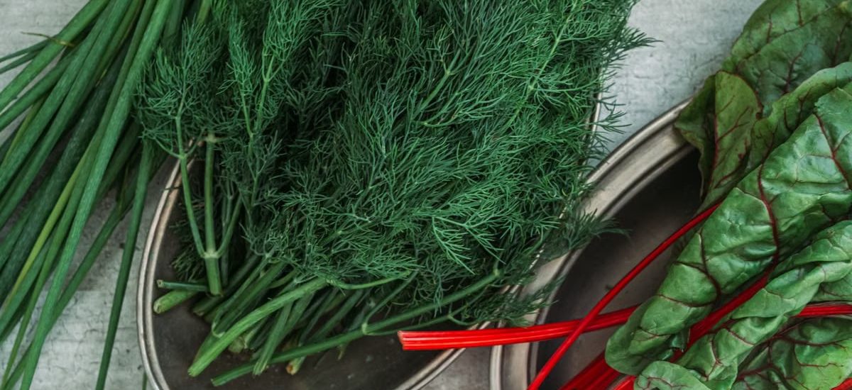Top view of fresh dill, green onions, and Swiss chard displayed on a table.